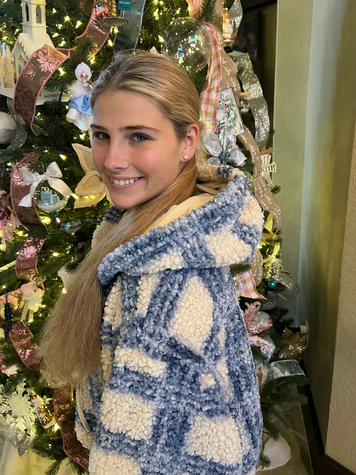 Sherpa Blue Plaid Hoddie