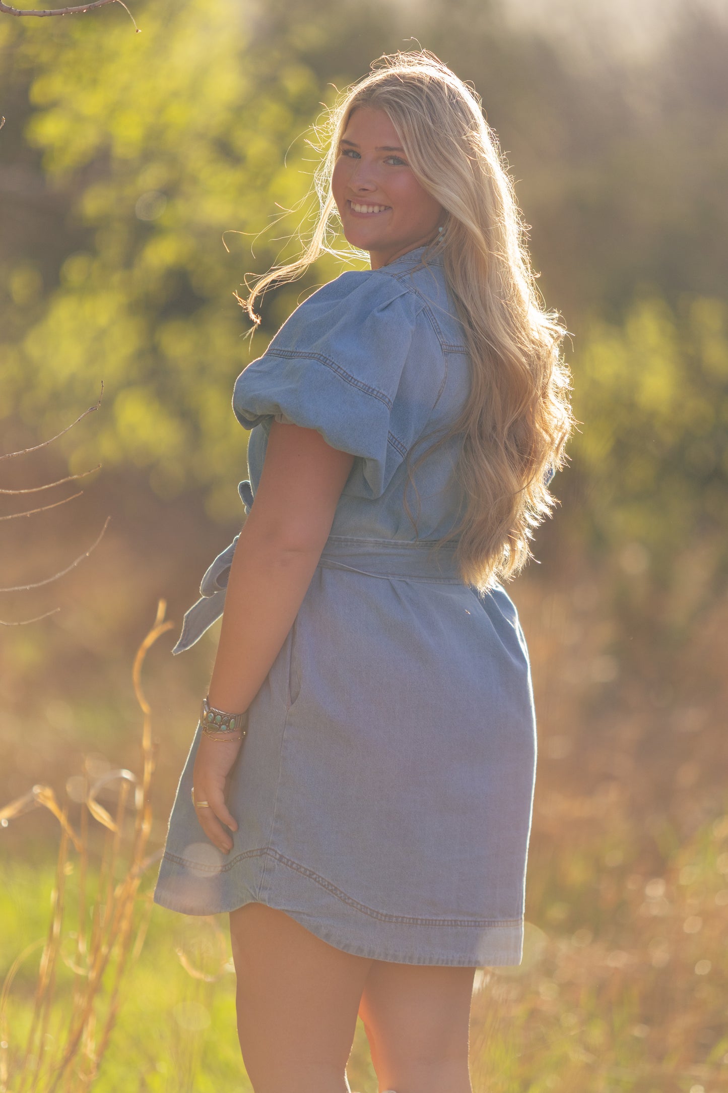 Puff Sleeve Denim Dress