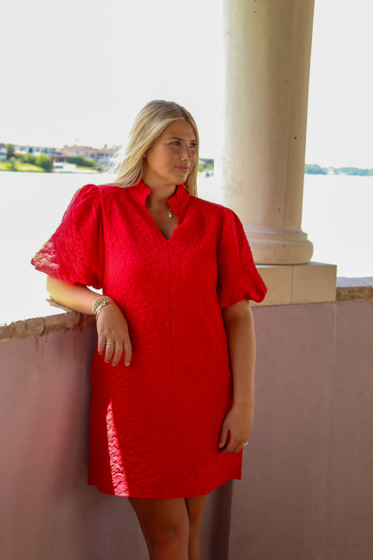 Red Floral Textured Dress