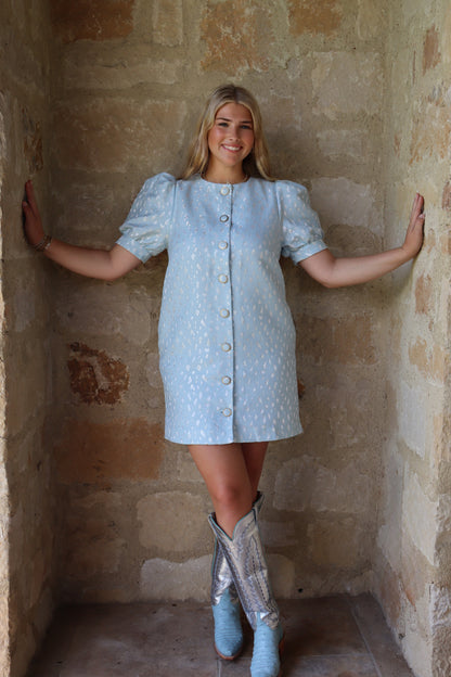 Light Blue Animal Print Button Dress